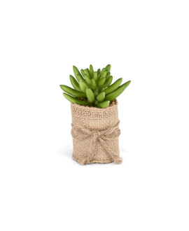 Mini Succulent In A Jute Pot