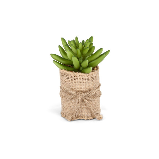 Mini Succulent In A Jute Pot