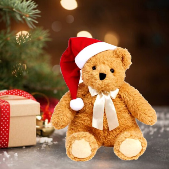 Teddy Bear Fluffy