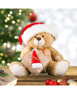 Santa Teddy Bear 
