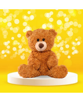 Snuggle Me Teddy